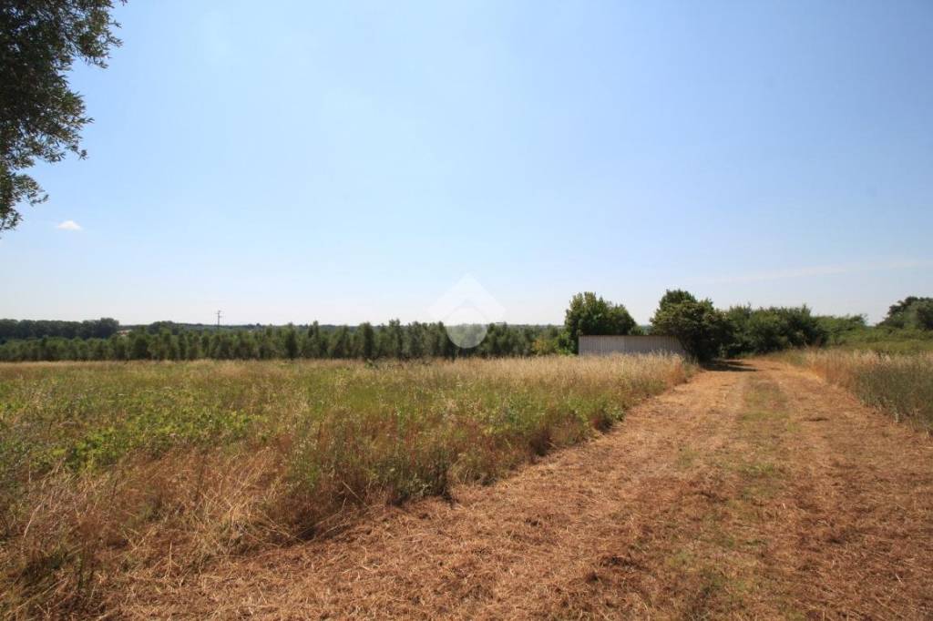 terreno agricolo in vendita a Canino