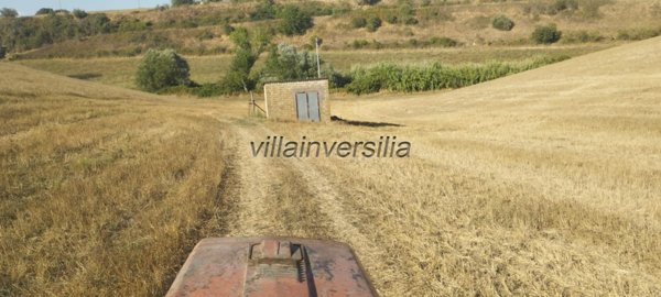 casa indipendente in vendita a Canino