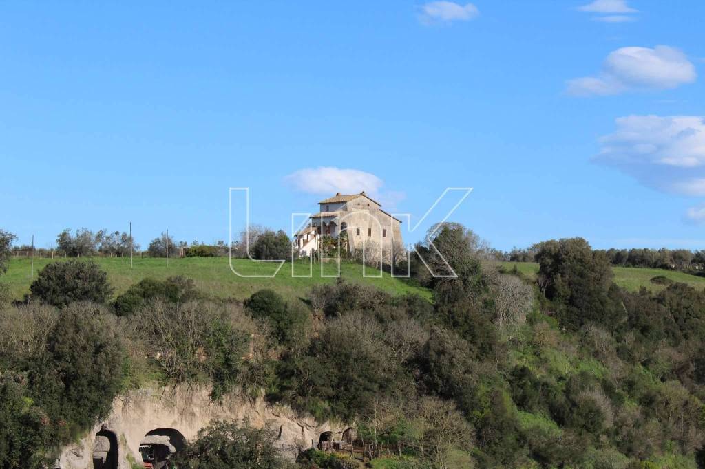 casa indipendente in vendita a Canino