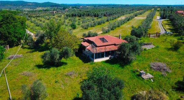 casa indipendente in vendita a Canino