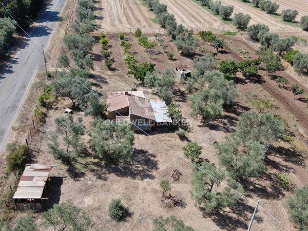 casa indipendente in vendita a Canino