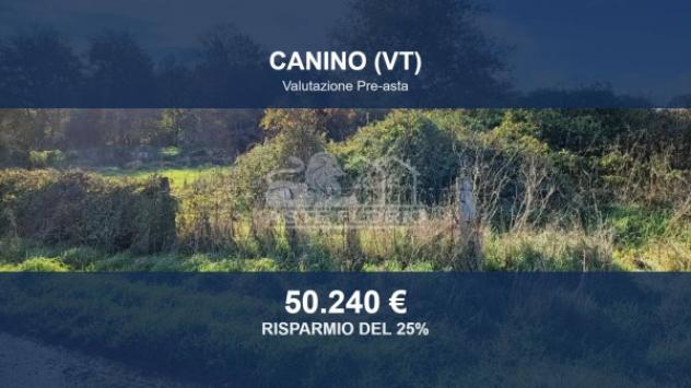 terreno agricolo in vendita a Canino