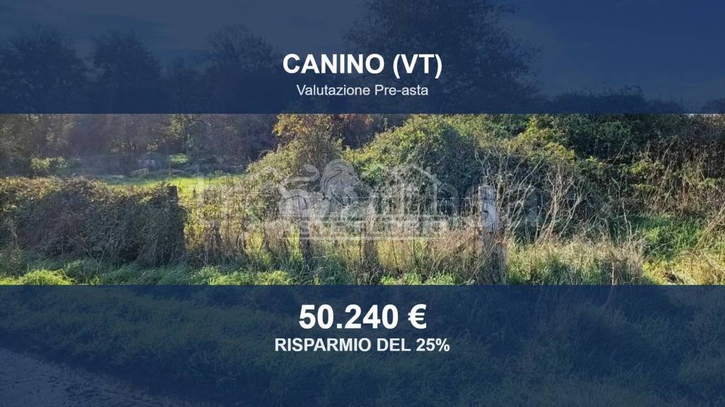 terreno in vendita a Canino