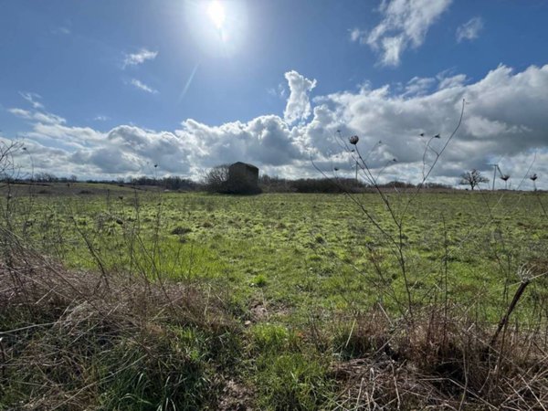 terreno agricolo in vendita a Capodimonte