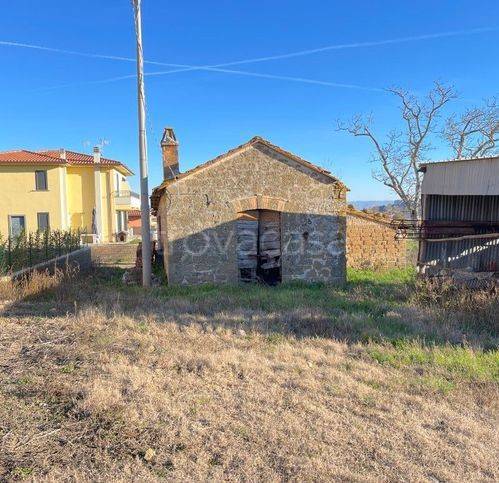 terreno agricolo in vendita a Capodimonte