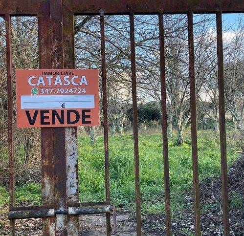 terreno agricolo in vendita a Capodimonte