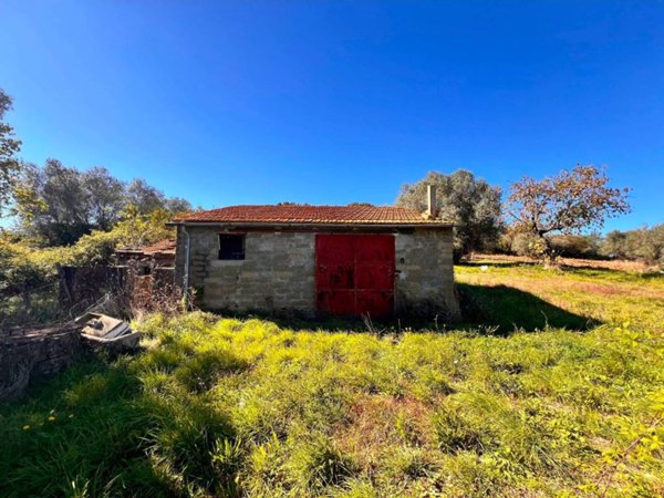 terreno agricolo in vendita a Capodimonte