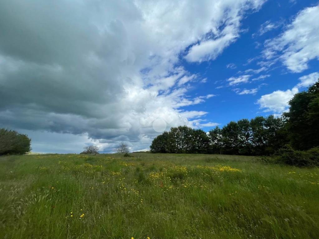 casa indipendente in vendita a Capodimonte