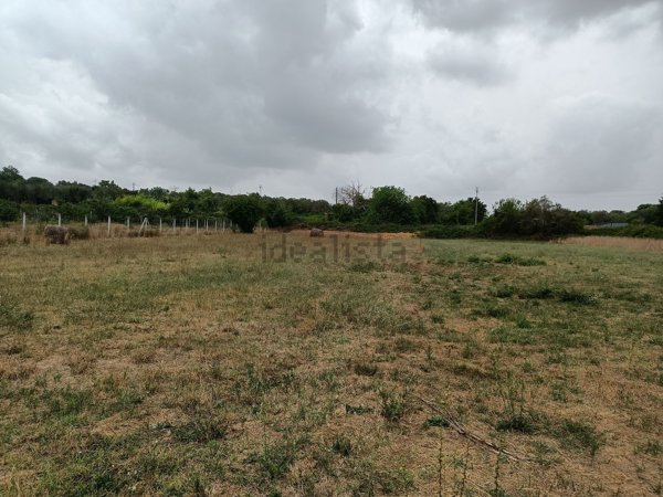 appartamento in vendita a Capodimonte