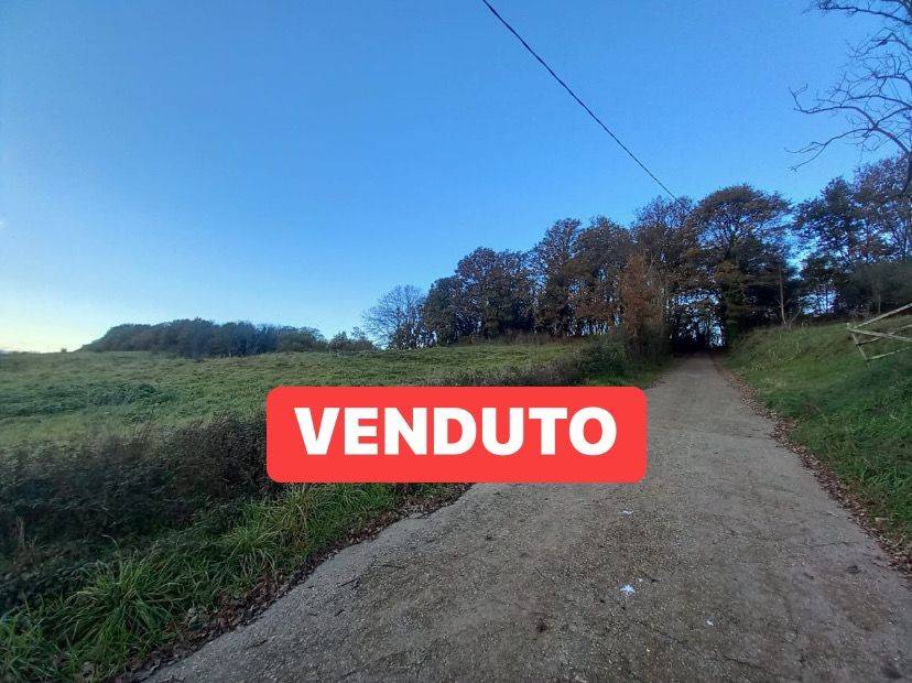 terreno agricolo in vendita a Capodimonte