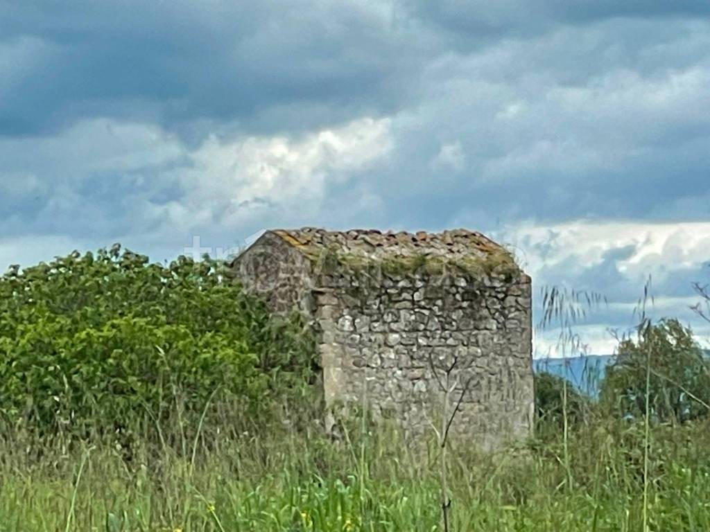 casa indipendente in vendita a Capodimonte