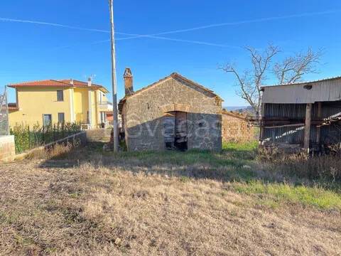 terreno agricolo in vendita a Capodimonte