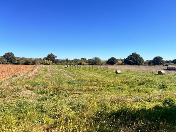 terreno in vendita a Capodimonte