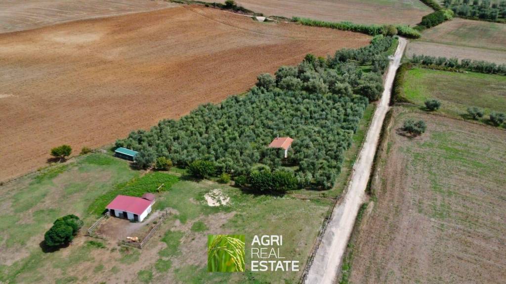 terreno in vendita a Capodimonte