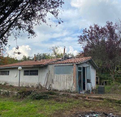 casa indipendente in vendita a Capranica