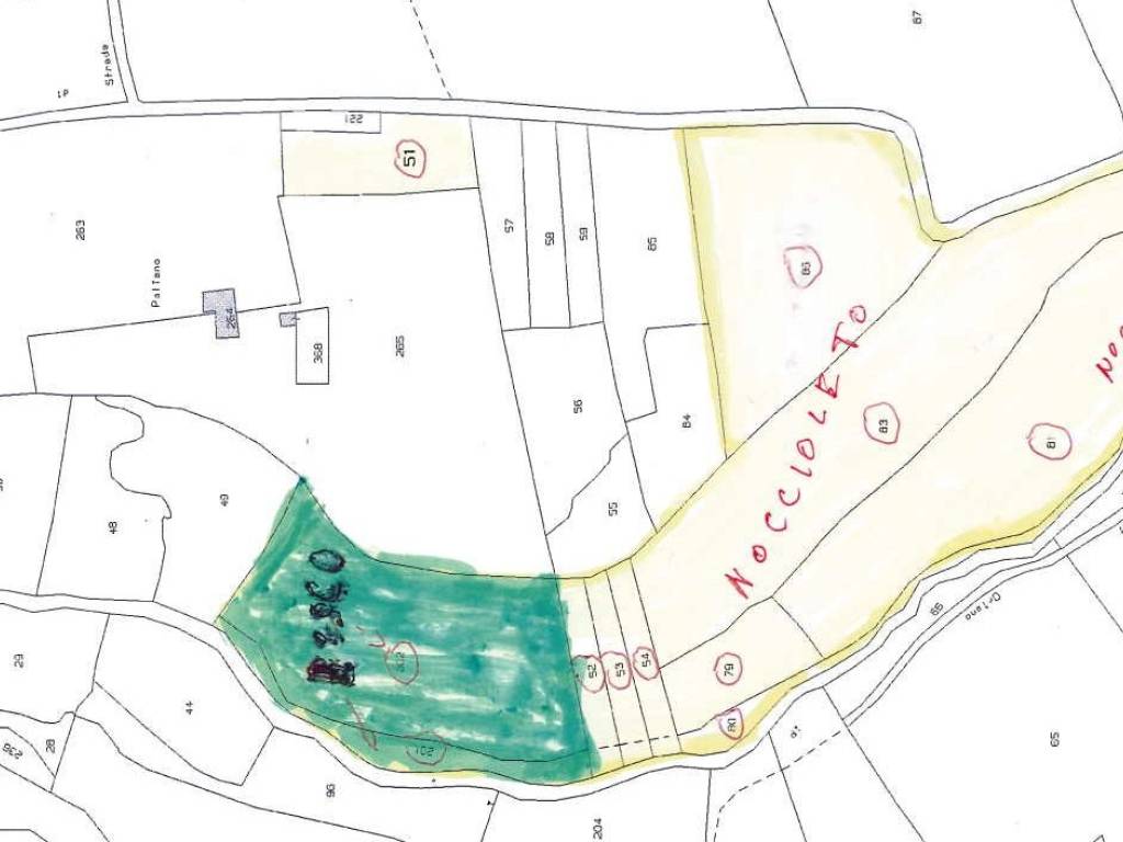 terreno agricolo in vendita a Capranica