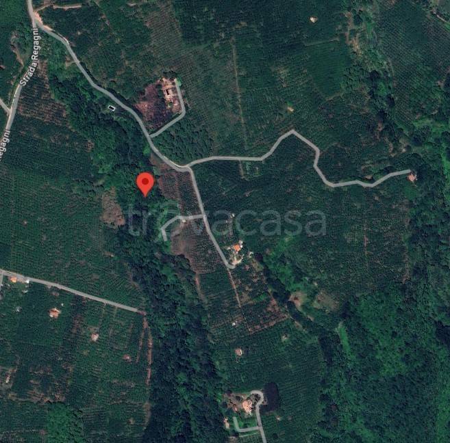 terreno agricolo in vendita a Capranica