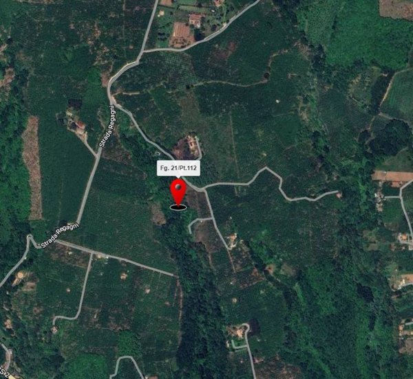 terreno agricolo in vendita a Capranica