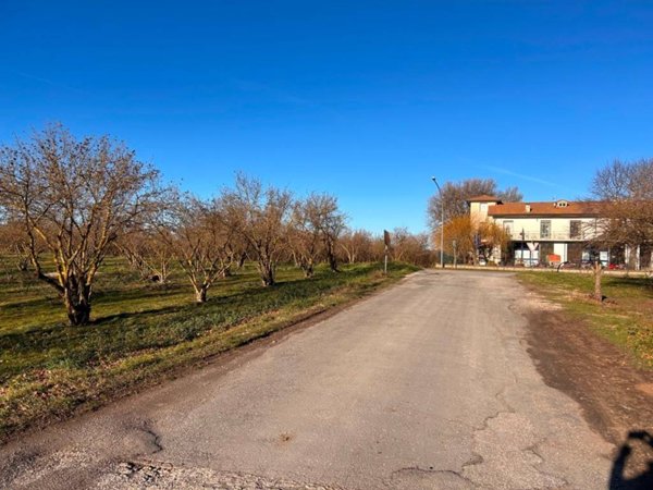 terreno agricolo in vendita a Capranica in zona Vico Matrino