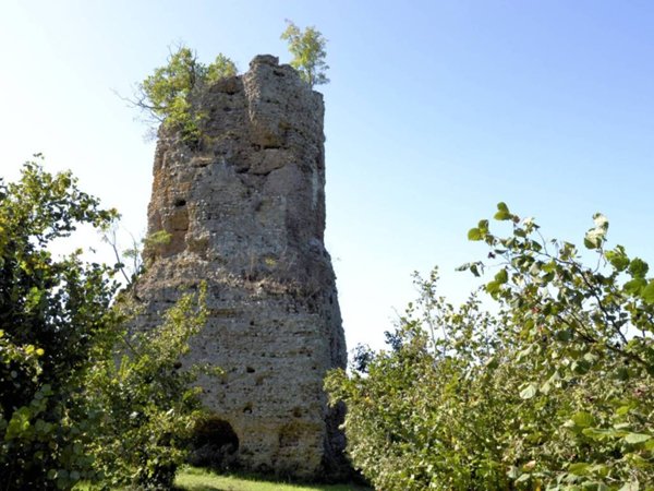 terreno agricolo in vendita a Capranica