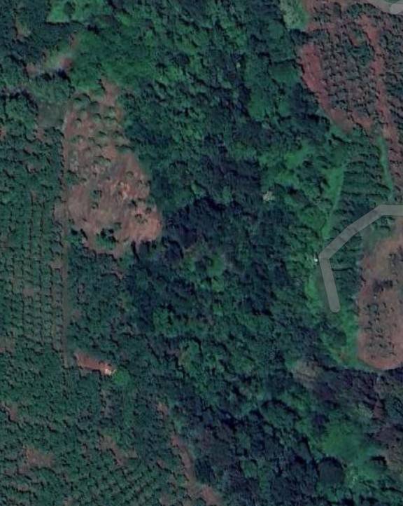 terreno agricolo in vendita a Capranica