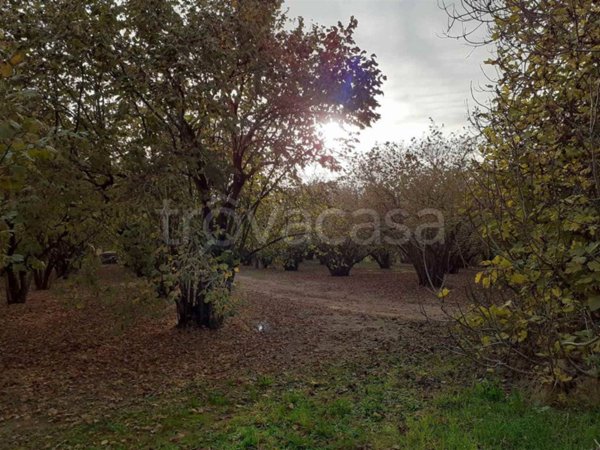 locale di sgombero in vendita a Capranica