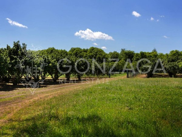 terreno agricolo in vendita a Capranica