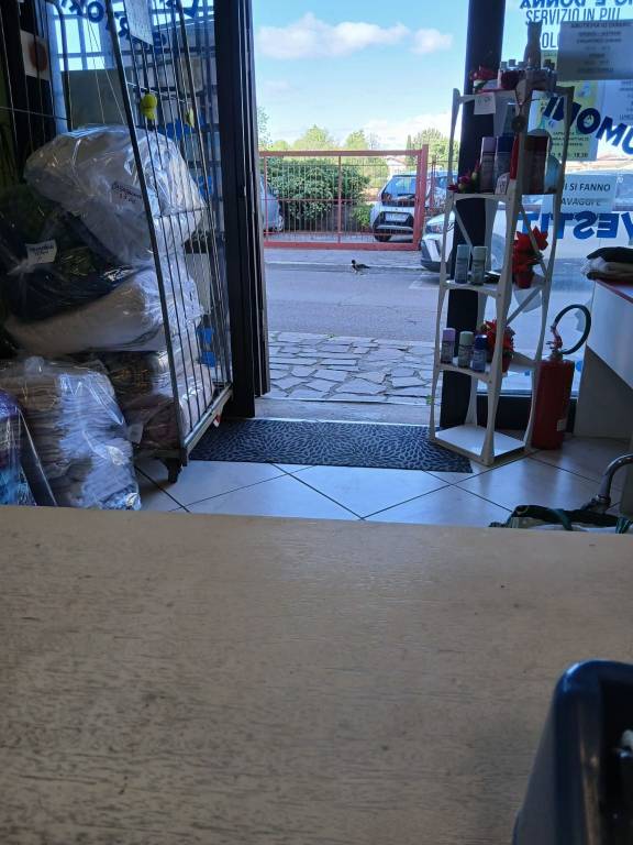 appartamento in vendita a Capranica