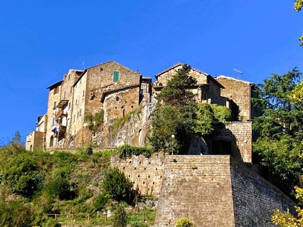 casa indipendente in vendita a Capranica