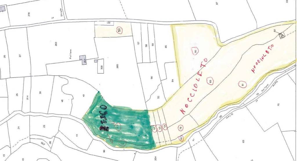 terreno agricolo in vendita a Capranica