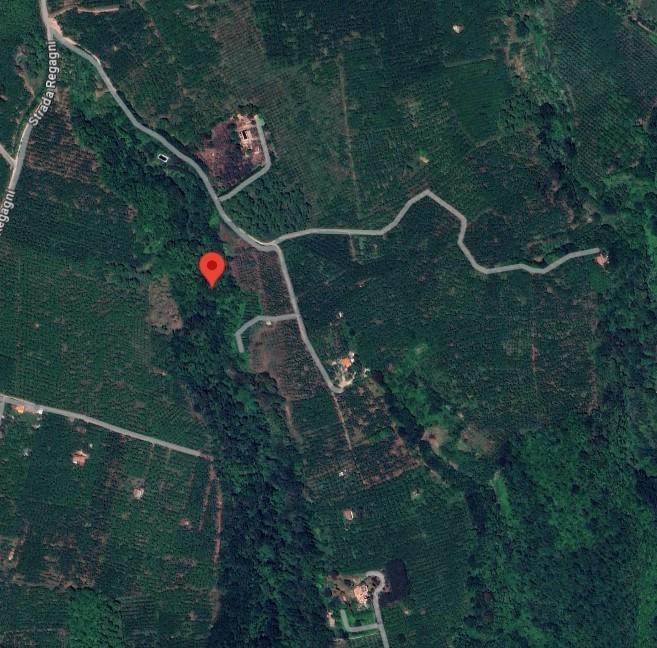 terreno agricolo in vendita a Capranica