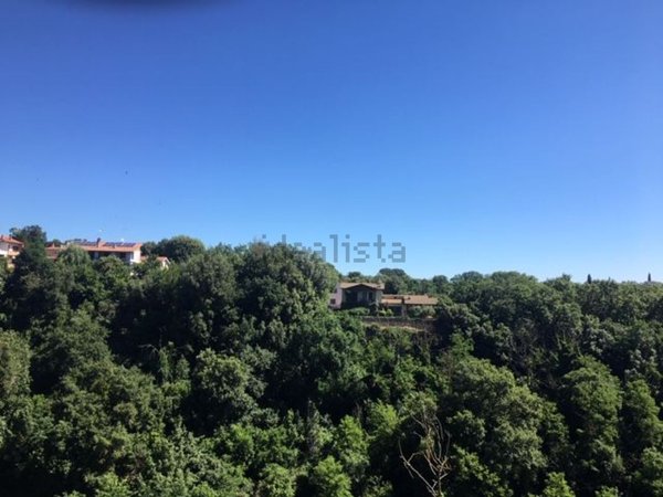 appartamento in vendita a Capranica