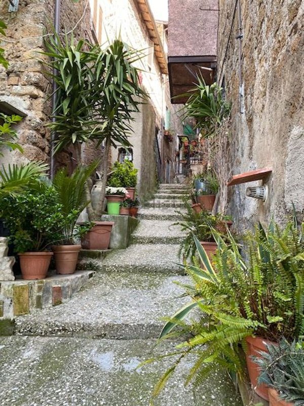 appartamento in vendita a Capranica