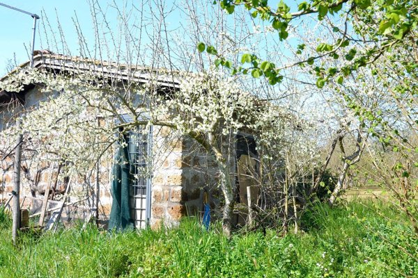 locale di sgombero in vendita a Capranica