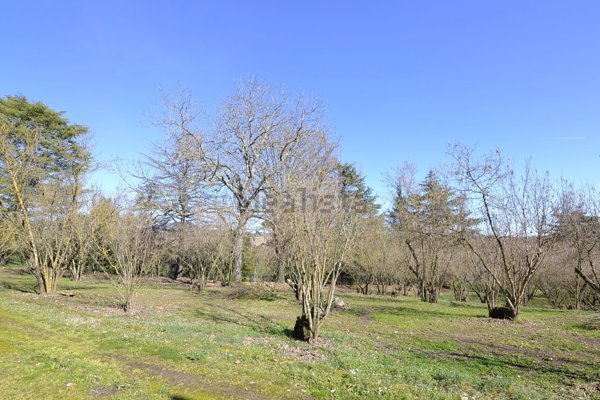 terreno agricolo in vendita a Capranica in zona Querce d`Orlando