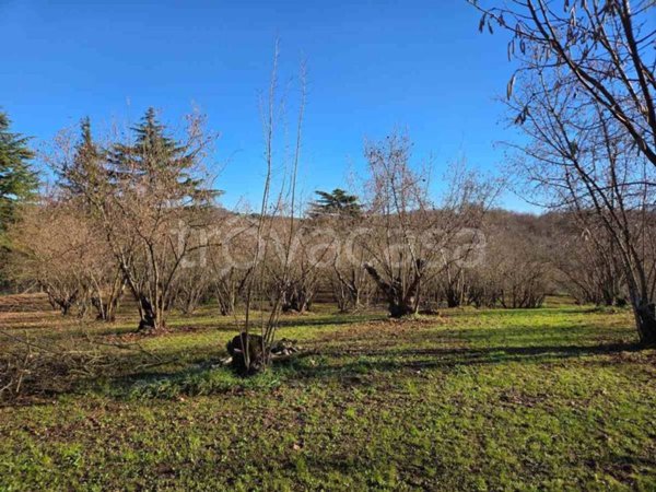 terreno agricolo in vendita a Capranica in zona Querce d`Orlando
