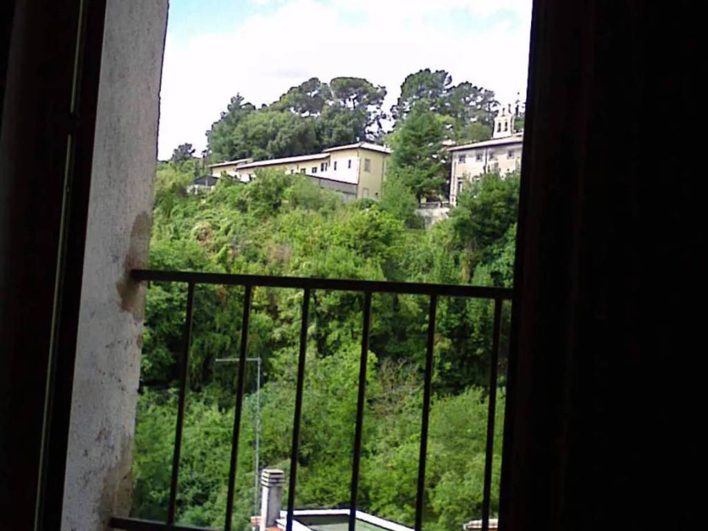appartamento in vendita a Caprarola
