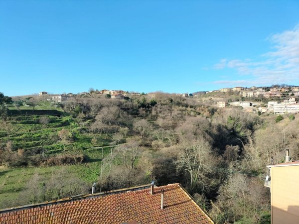 appartamento in vendita a Caprarola