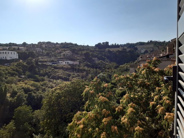 appartamento in vendita a Caprarola
