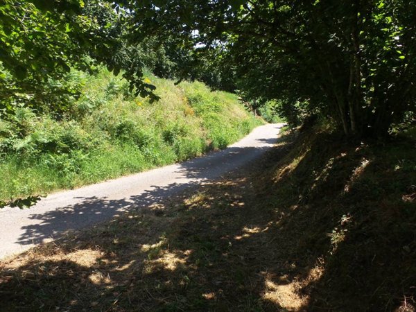 terreno agricolo in vendita a Caprarola