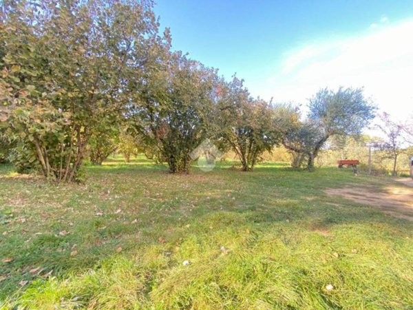 terreno agricolo in vendita a Caprarola