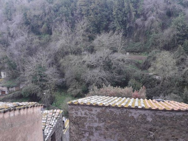 appartamento in vendita a Caprarola