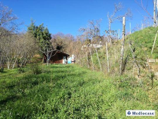 terreno in vendita a Caprarola
