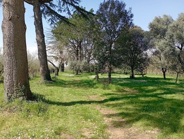 casa indipendente in vendita a Carbognano