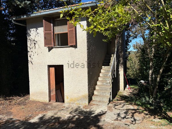 casa indipendente in vendita a Carbognano