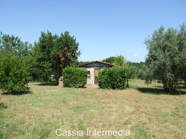 terreno agricolo in vendita a Castel Sant'Elia