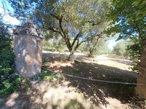 terreno agricolo in vendita a Castel Sant'Elia