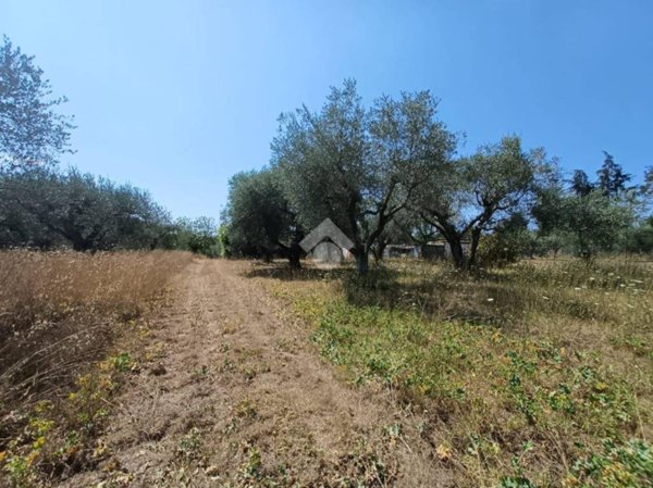 terreno agricolo in vendita a Castel Sant'Elia