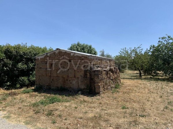 terreno agricolo in vendita a Castel Sant'Elia
