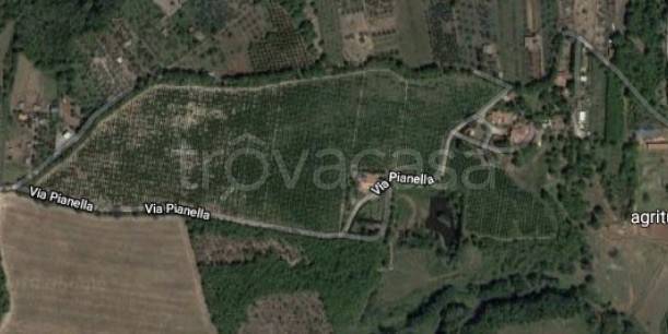 azienda agricola in vendita a Castel Sant'Elia